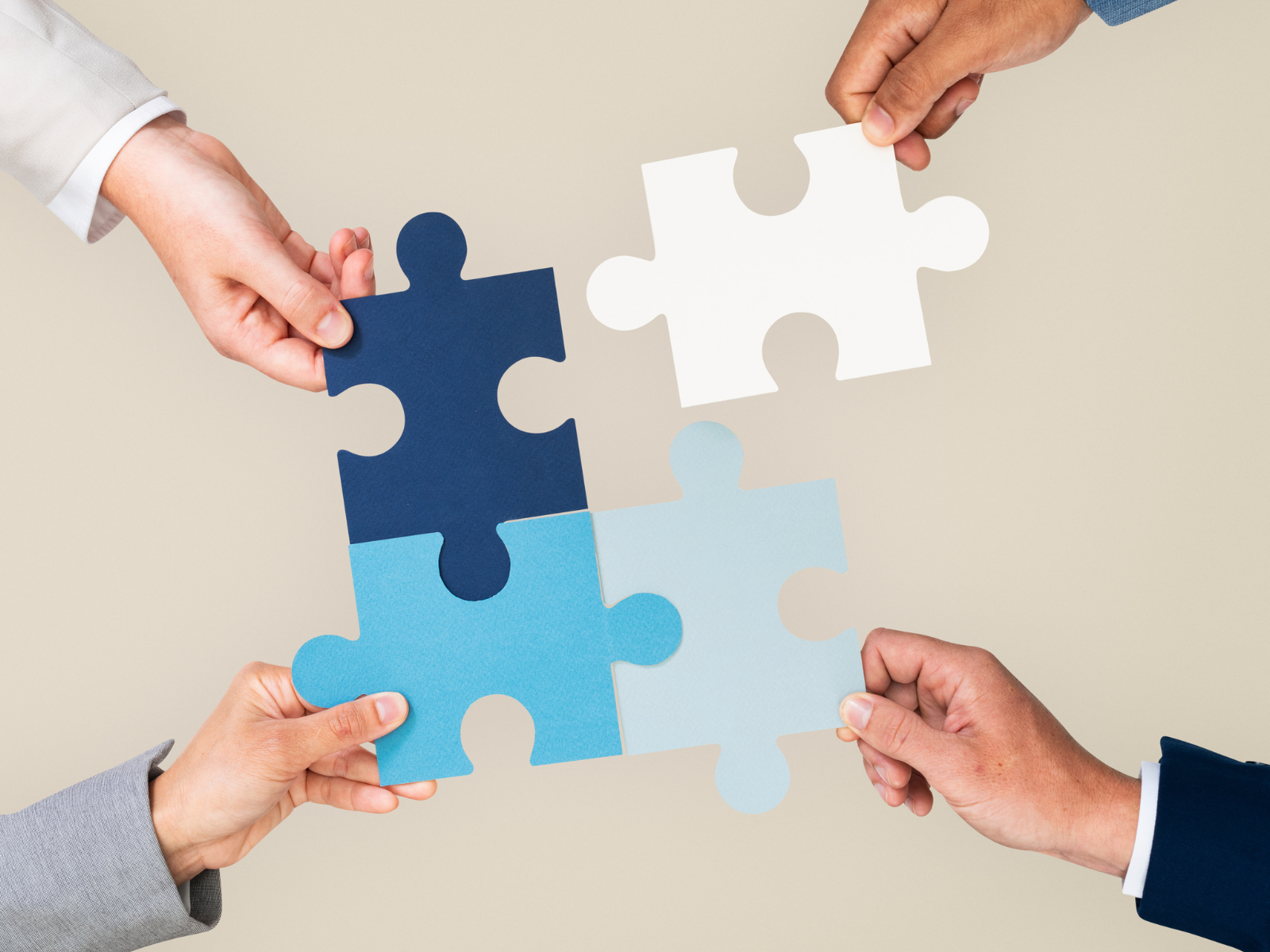 Cleeksy - tái thiết kinh doanh trên SDD