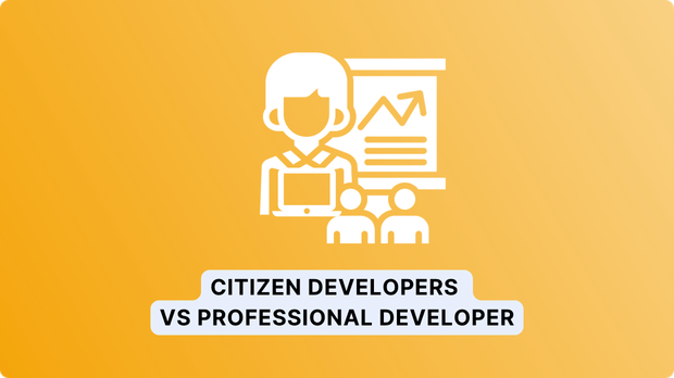 Citizen Developer vs. Professional Developer Cleeksy