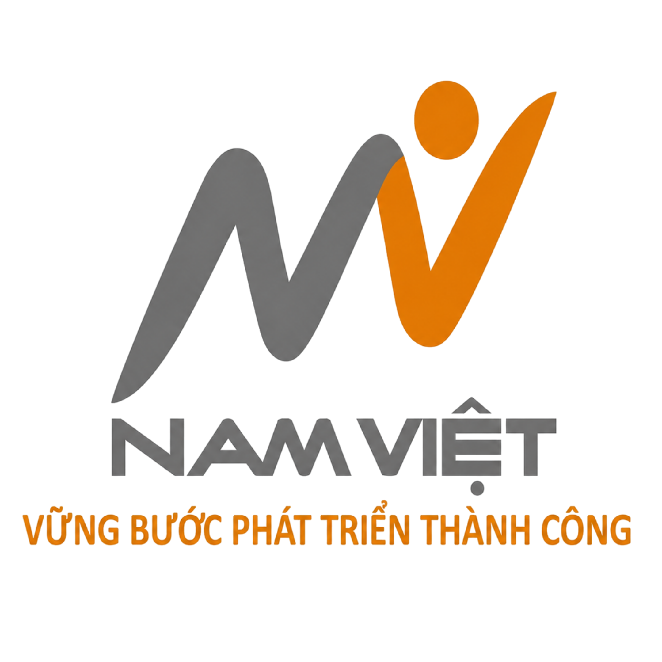 Logo sản xuất thùng carton Nam Việt