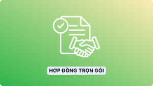 Hợp đồng trọn gói Cleeksy